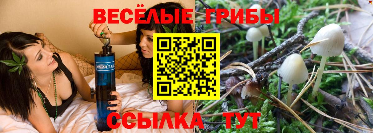 Галлюциногенные грибы GOLDEN TEACHER Пыть-Ях